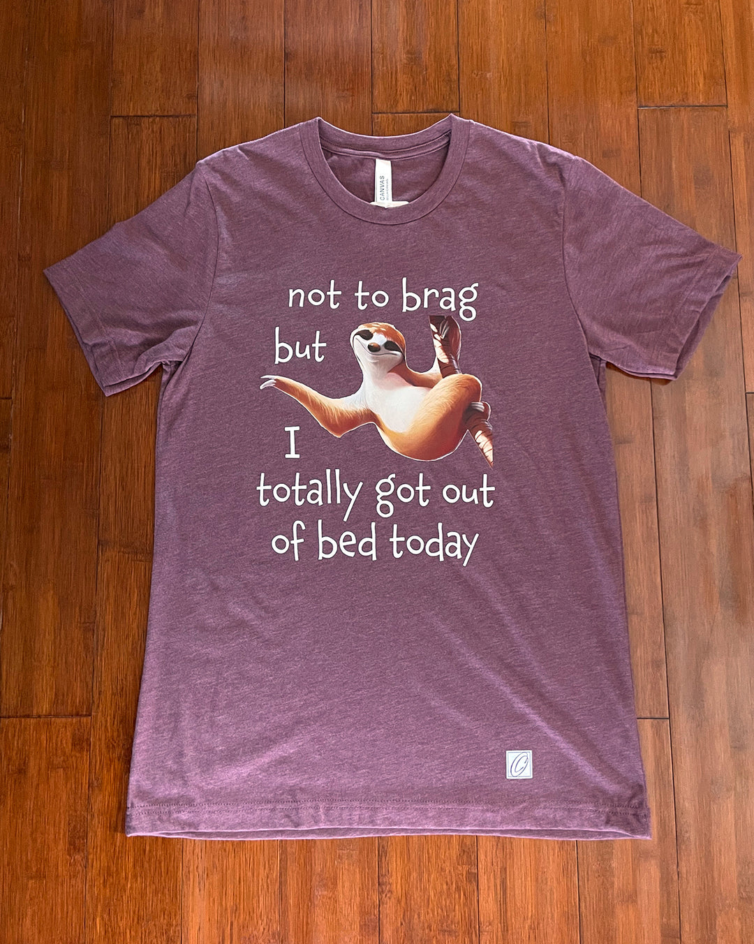 Adult L Bella Canvas Triblend Crewneck Short Sleeve Tee - Not to Brag But I Totally Got Out of Bed Today