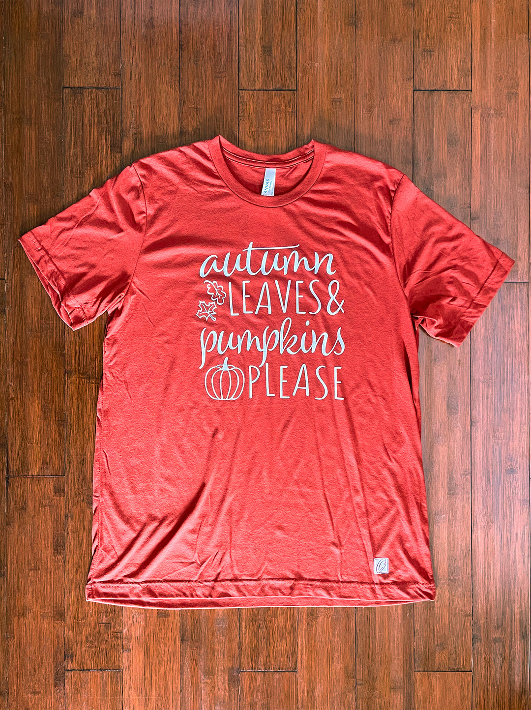 Adult L Bella Canvas Triblend Crewneck Short Sleeve Tee - Autumn Leaves & Pumpkins Please