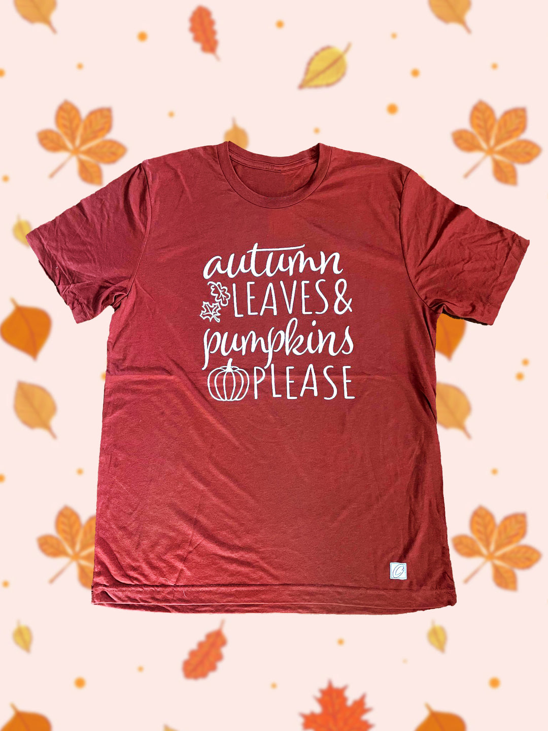 Adult L Bella Canvas Triblend Crewneck Short Sleeve Tee - Autumn Leaves & Pumpkins Please