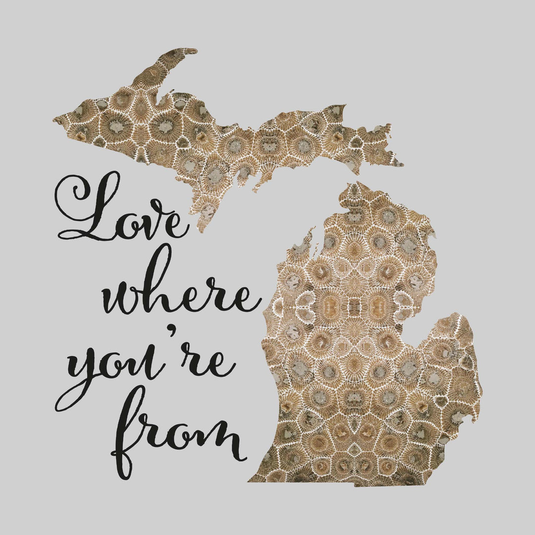 Love Where You're From - Petoskey Stone State