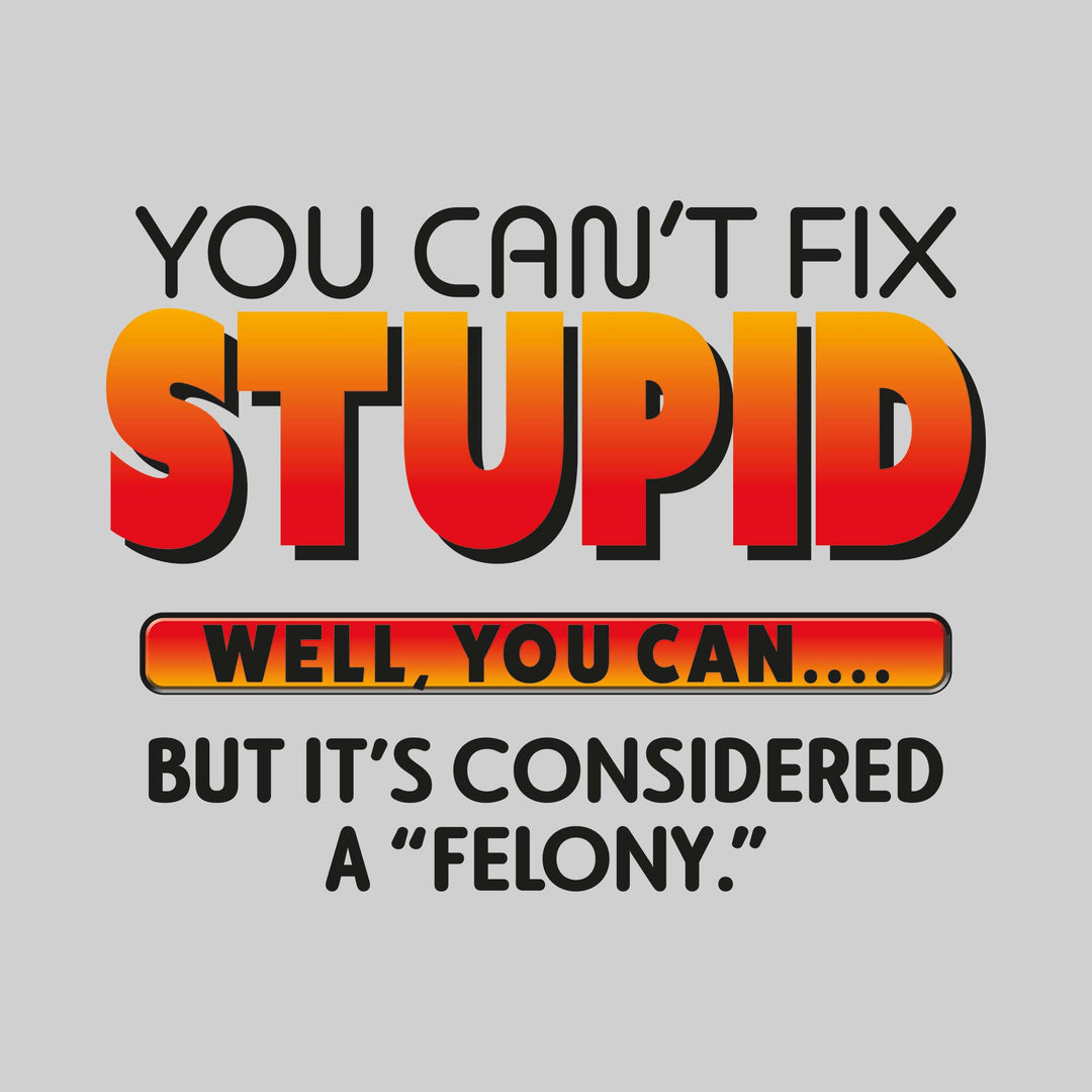 You Can't Fix Stupid Well You Can But It's Considered a Felony